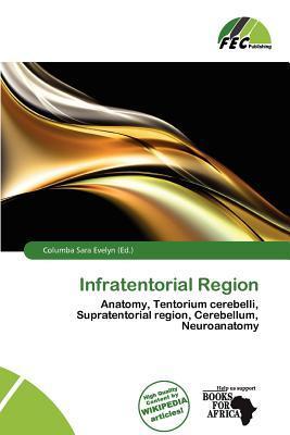 Infratentorial Region