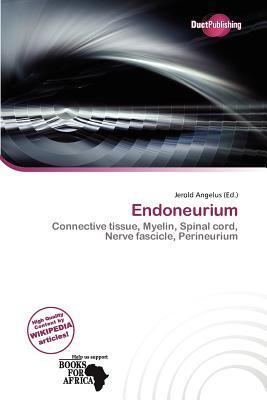 Endoneurium