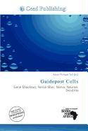 Guidepost Cells