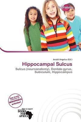 Hippocampal Sulcus