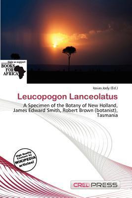 Leucopogon Lanceolatus