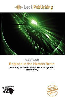 Regions in the Human Brain