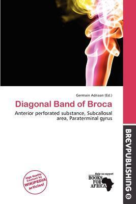 Diagonal Band of Broca