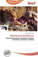 Chorizema Ilicifolium