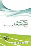Mossy Fiber (hippocampus)