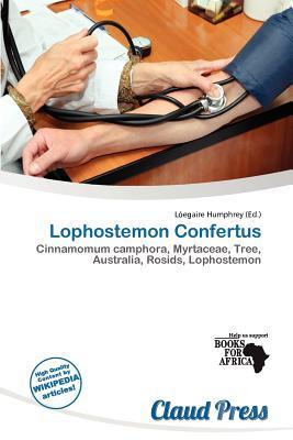 Lophostemon Confertus