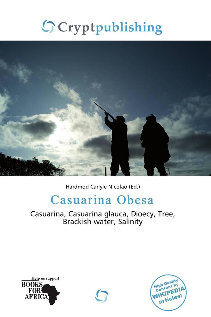 Casuarina Obesa