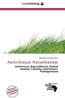 Antirrhinum Nuttallianum
