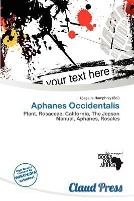 Aphanes Occidentalis