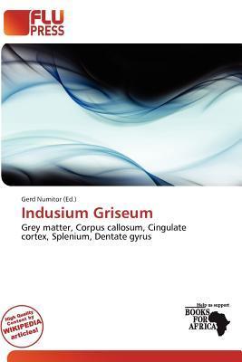 Indusium Griseum