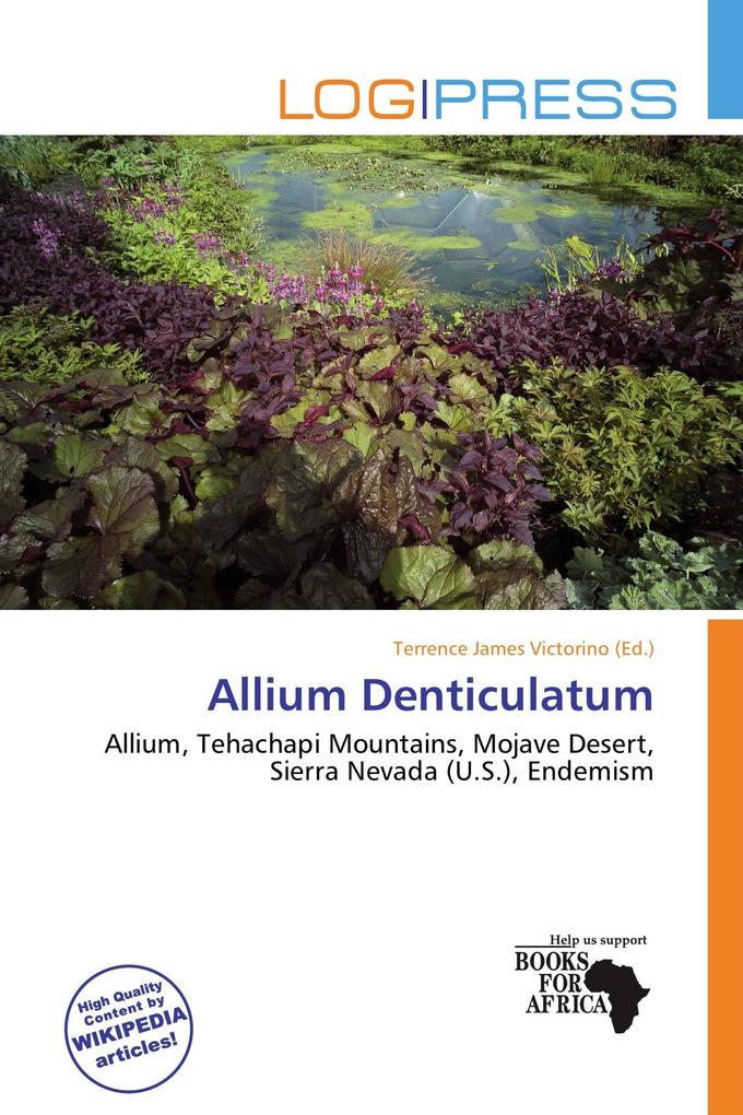 Allium Denticulatum