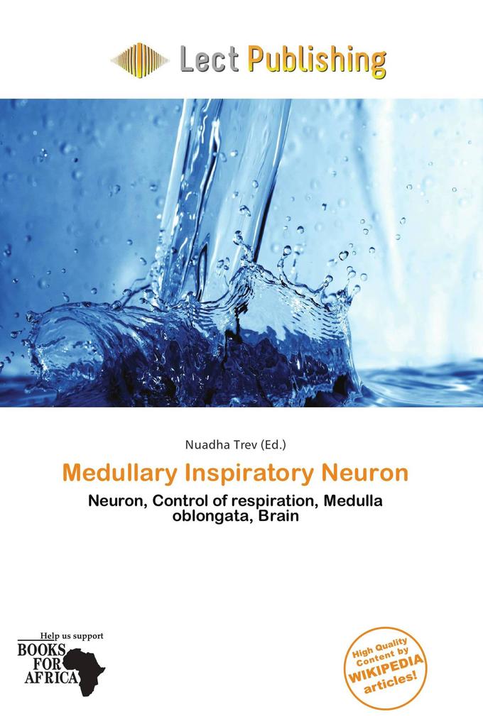 Medullary Inspiratory Neuron