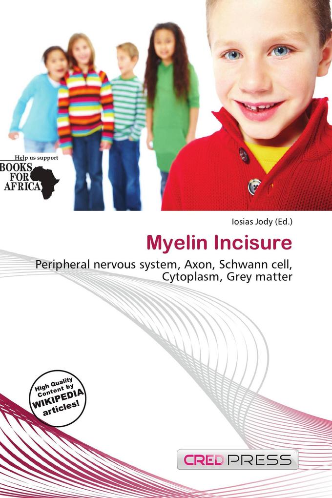 Myelin Incisure