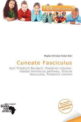 Cuneate Fasciculus