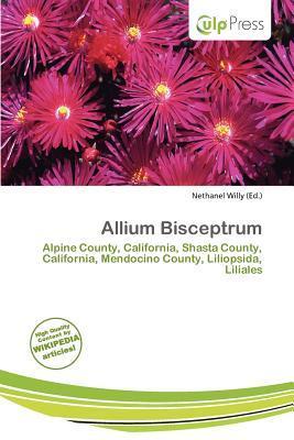 Allium Bisceptrum
