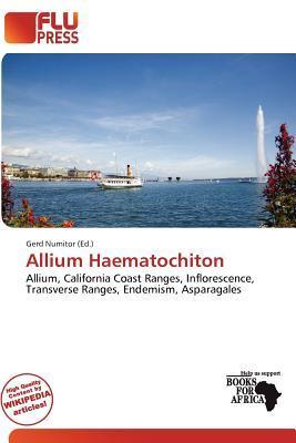 Allium Haematochiton