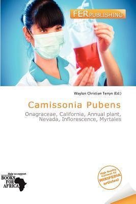 Camissonia Pubens