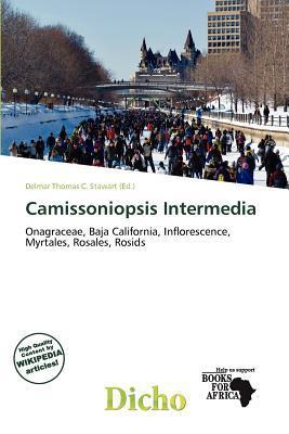 Camissoniopsis Intermedia