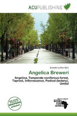 Angelica Breweri