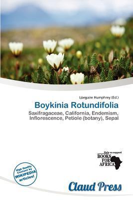 Boykinia Rotundifolia