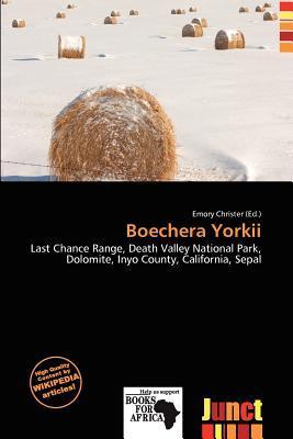 Boechera Yorkii