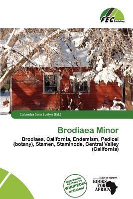 Brodiaea Minor
