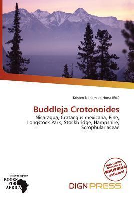 Buddleja Crotonoides