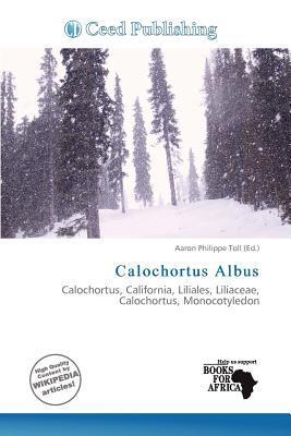 Calochortus Albus