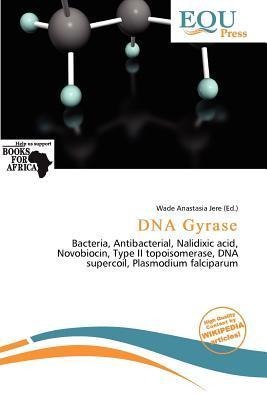 DNA Gyrase