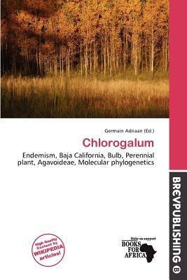 Chlorogalum