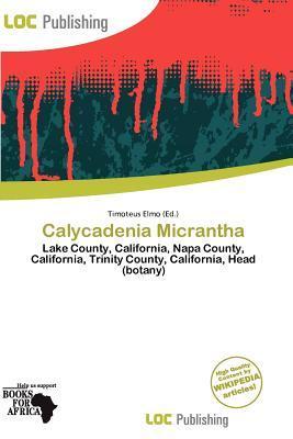Calycadenia Micrantha