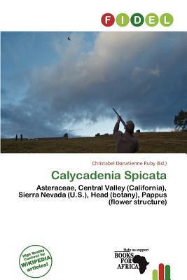 Calycadenia Spicata