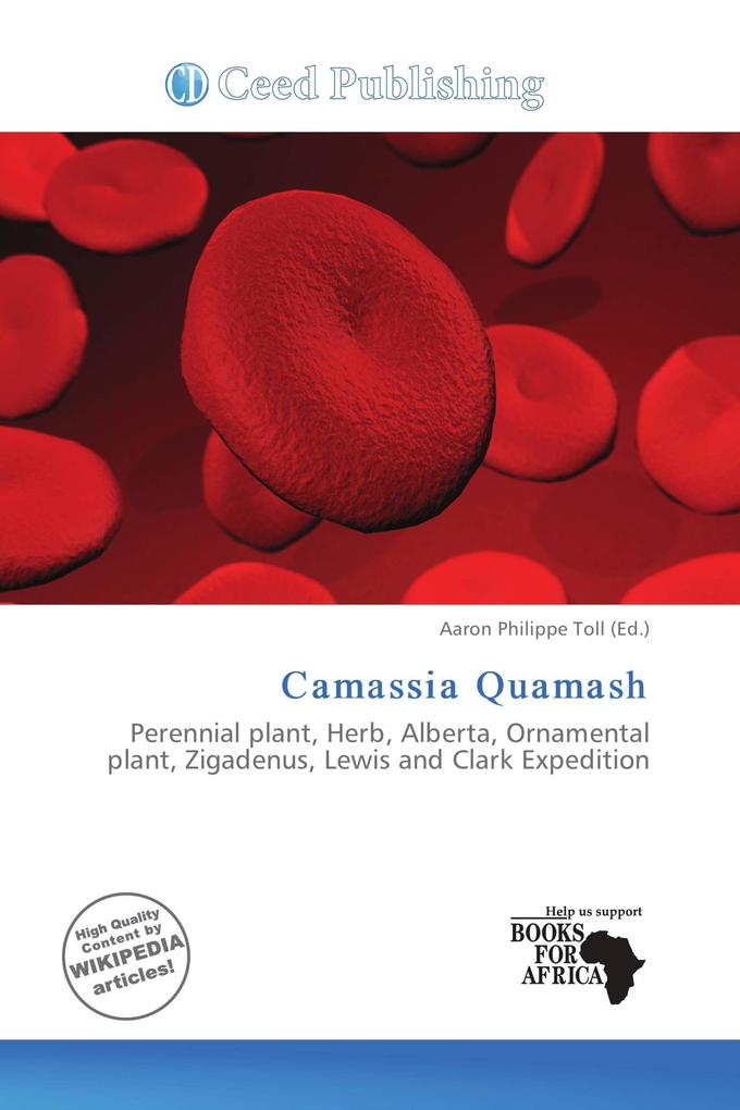 Camassia Quamash