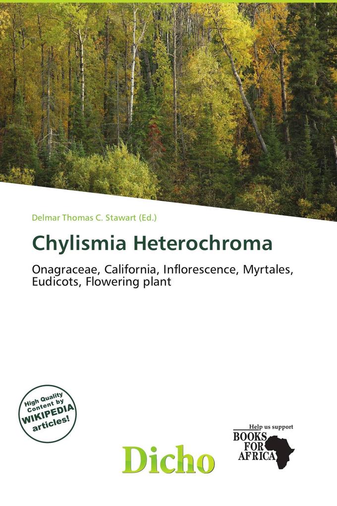 Chylismia Heterochroma