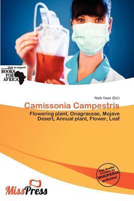 Camissonia Campestris