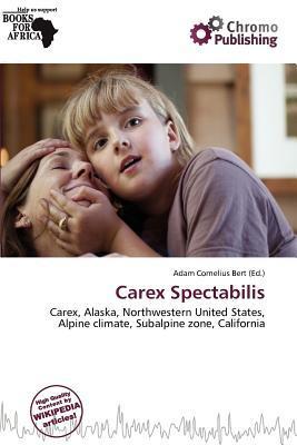 Carex Spectabilis