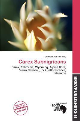 Carex Subnigricans