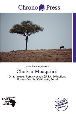 Clarkia Mosquinii