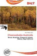 Chamaebatia Australis