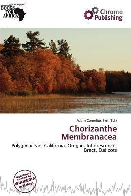 Chorizanthe Membranacea