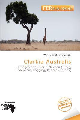 Clarkia Australis