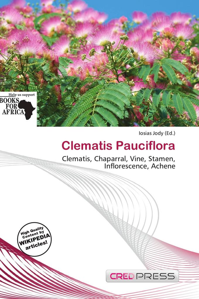 Clematis Pauciflora