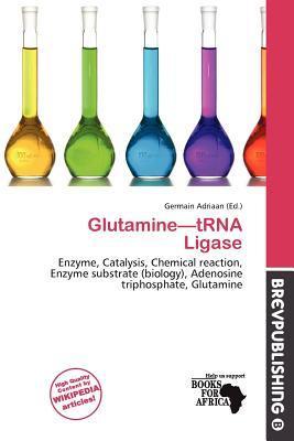 Glutamine-tRNA Ligase