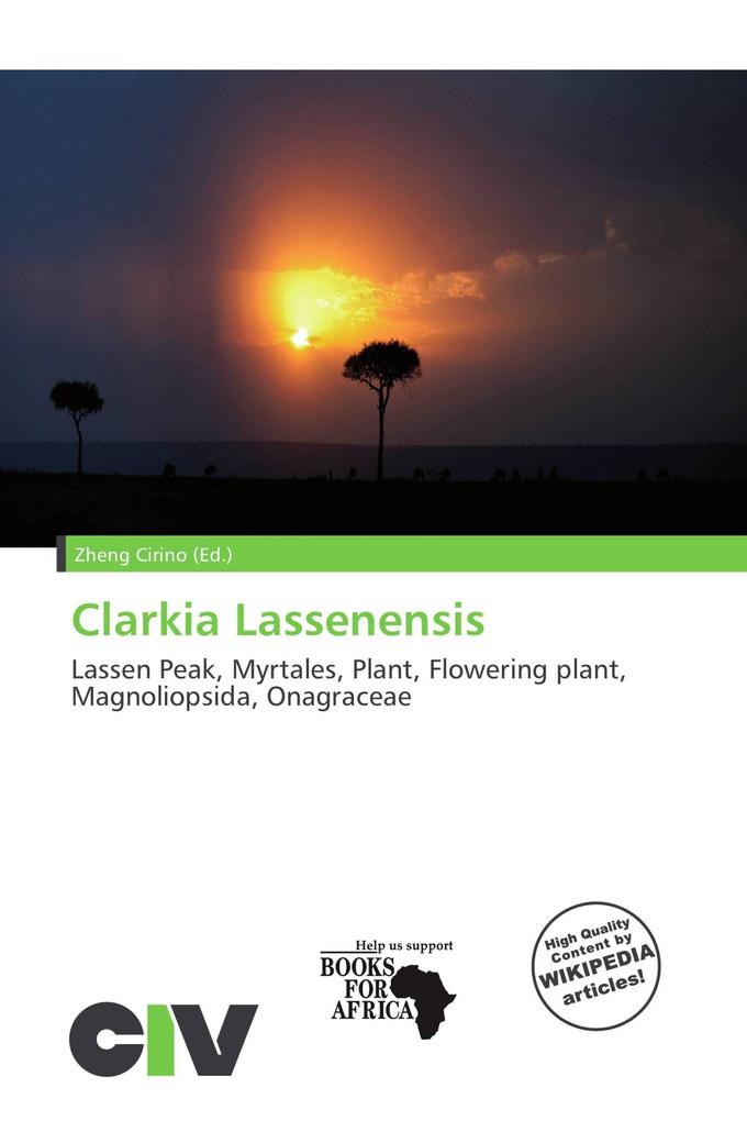 Clarkia Lassenensis