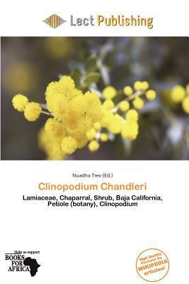Clinopodium Chandleri
