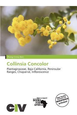 Collinsia Concolor