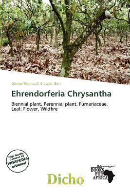 Ehrendorferia Chrysantha