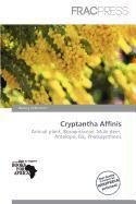 Cryptantha Affinis