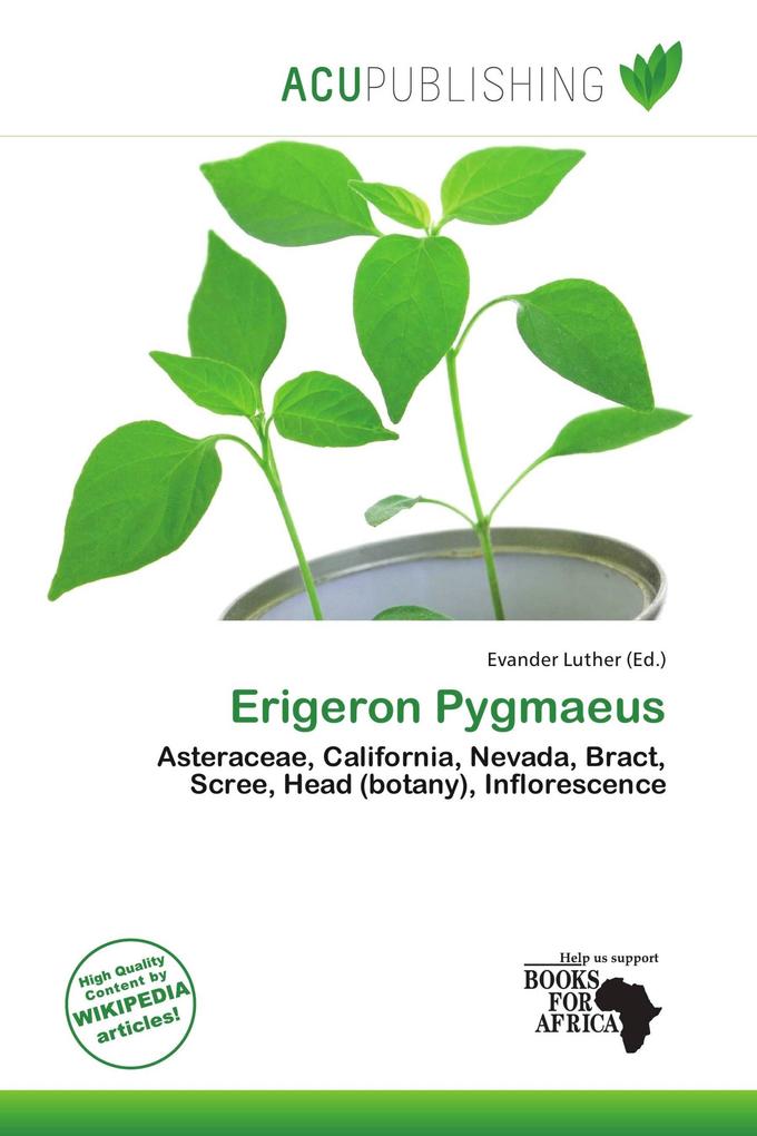 Erigeron Pygmaeus
