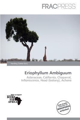 Eriophyllum Ambiguum